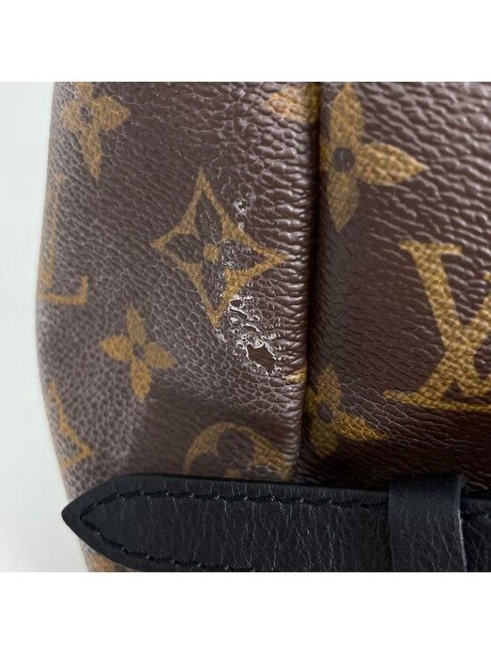 Louis Vuitton Palm Spring Backpack MM Monogram Brown main image 8